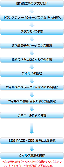 goLECX̍쐻t[`[g